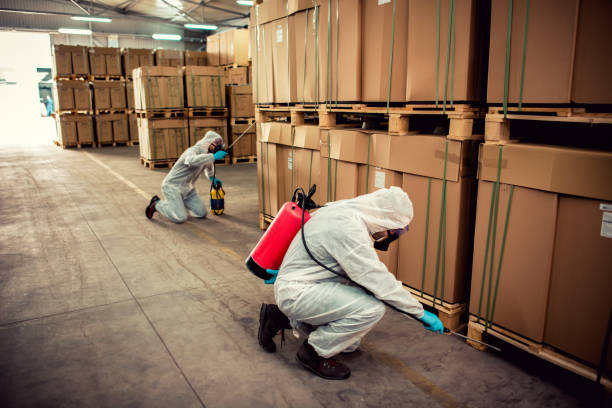 Best Termite Control Services  in Stearns, KY