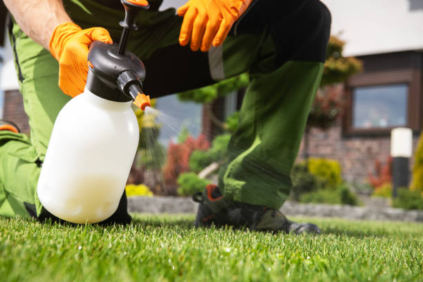 Best Wildlife Control Services  in Stearns, KY