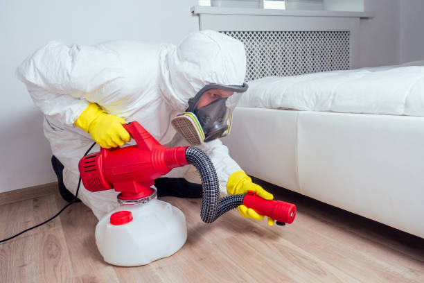 Best Emergency Pest Control  in Stearns, KY