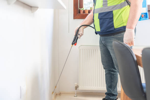 Best Termite Control Services  in Stearns, KY