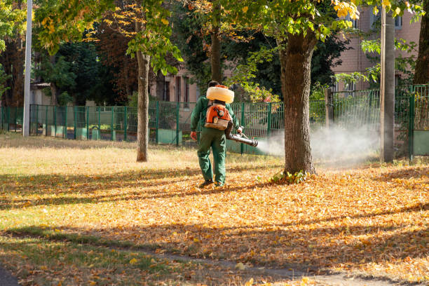 Professional Pest Control in Stearns, KY