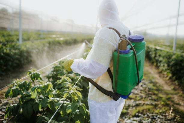 Best Exterminator Services  in Stearns, KY